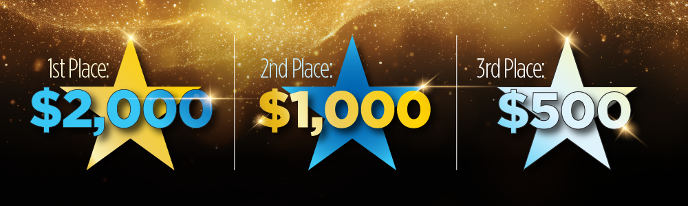 Rising Star 2024 prize amounts